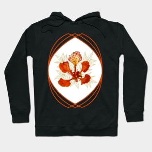 Flamboyant Flower - tropical Tree - Africa Hoodie